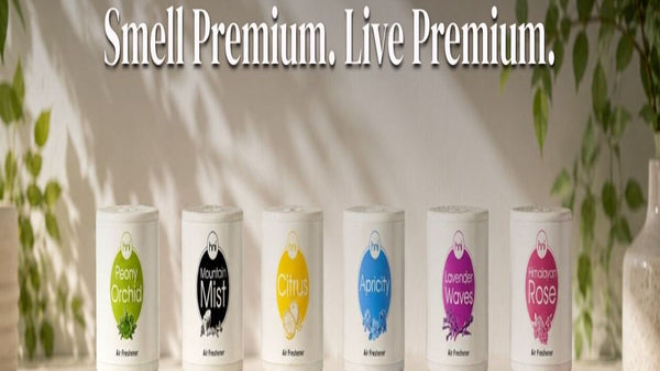 Air Freshener