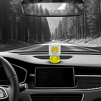 HNI Citrus Air Freshener