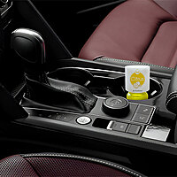 HNI Citrus Air Freshener