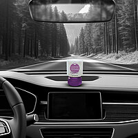 HNI Lavender waves Air Freshener